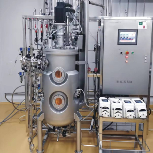 400l 500l 600l Cell Cultureure Bioreactor 1000l stainless Steel big fermentation tank cell