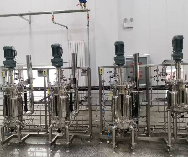 Industrial Microbiology Fermentation Stainless Steel Fermenter Flow Perfusion Bioreactor