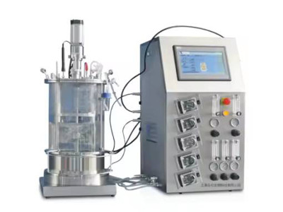 A Catalyst for Innovation and Growth