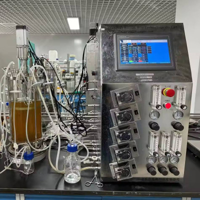 BLBIO-GCUC Cell culture bioreactor laboratory ferment machine ferment tank