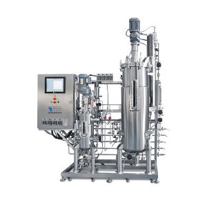 BLBIO Design Bioreactor Stainless Steel lab scale fermentor