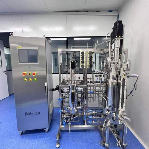 BLBIO Design Bioreactor Stainless Steel Fermentor