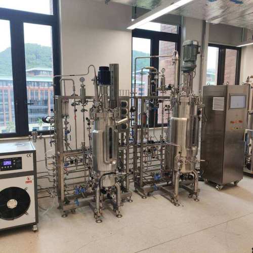 BLBIO Design Bioreactor Stainless Steel Fermentor