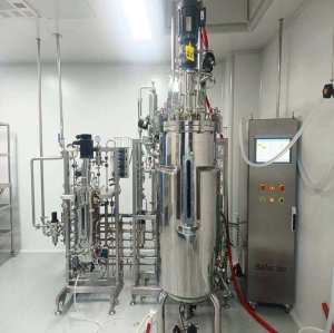 BLBIO Design Bioreactor Stainless Steel Fermentor