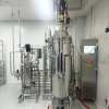 BLBIO Design Bioreactor Stainless Steel Fermentor