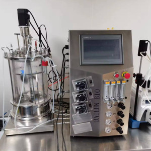 BLBIO-GCUC Magnetic Mixing Cell Culture Fermenter Bioreactor process model manufacturers