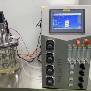 BLBIO-GCUC Magnetic Mixing Cell Culture Fermenter Bioreactor process model manufacturers