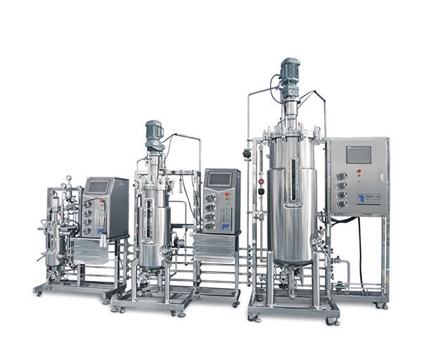 BLBIO 3000L Bacteria Fermentor for Producing Antibiotics