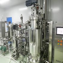 BLBIO Bioreactors in Biotechnology Bioreactor and Fermentor