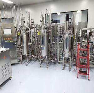 BLBIO Batch Fermenter Fermentation Stainless Steel Bioreactor Price