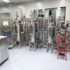 From a 'billion dollar market' to a 'trillion dollar ecosystem'! Market potential, fermentation process, and future prospects of recombinant collagen ..