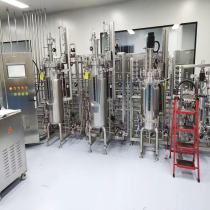 BLBIO Batch Fermenter Fermentation Stainless Steel Bioreactor Price