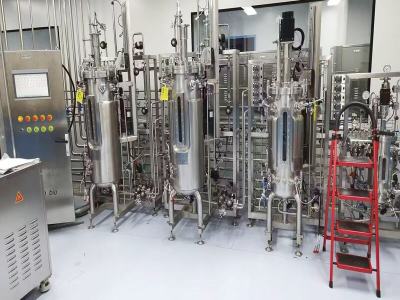 From a 'billion dollar market' to a 'trillion dollar ecosystem'! Market potential, fermentation process, and future prospects of recombinant collagen ..