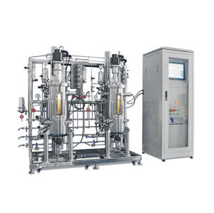 Mechanical Stirring Bioreactor Stirred Tank fermentation Process 2 gallon glass fermenter