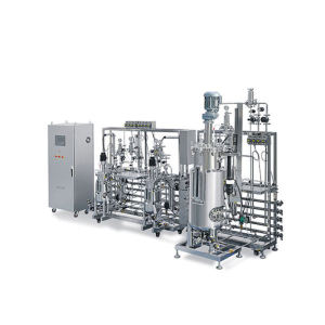 BLBIO Multi Fermenter Industrial Packed Bed Fermentor BLBIO Multi conical fermenter stainless