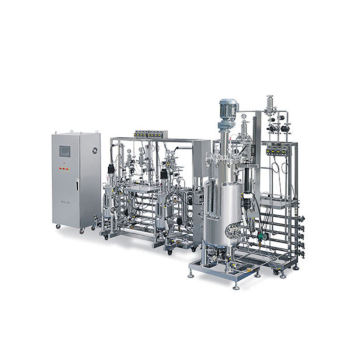 BLBIO Multi Fermenter Industrial Packed Bed Fermentor BLBIO Multi conical fermenter stainless