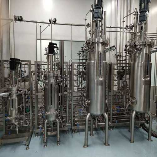 BLBIO Multi Fermenter Industrial Packed Bed Fermentor BLBIO Multi Fermentor