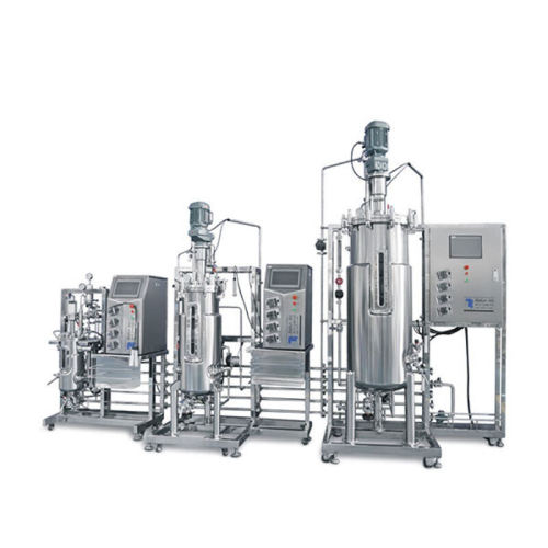 BLBIO 30L Industrial Bioreactor Fermentor Price