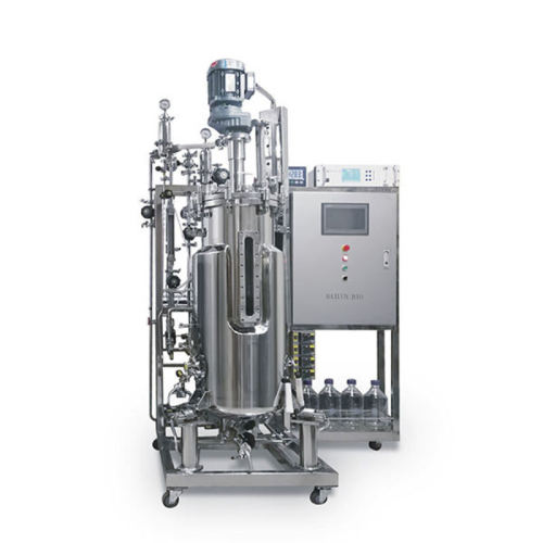 BLBIO Bench Top Bioreactor Production Standard Automatic Fermentor