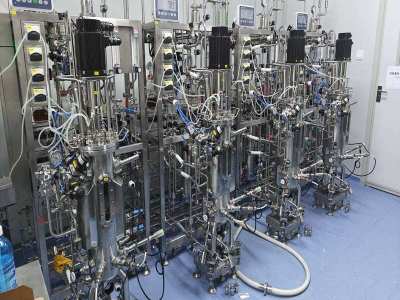 How can fermentation be considered accurate? We need to grasp from these four levels