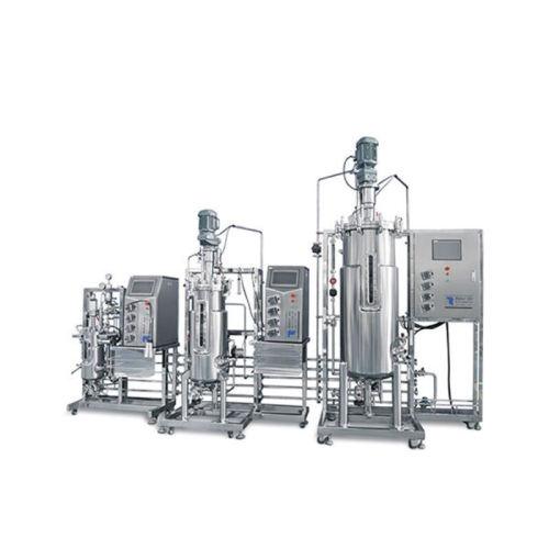 BLBIO Stainless Steel Fermentor Microorganism Yeast Processing Machinery