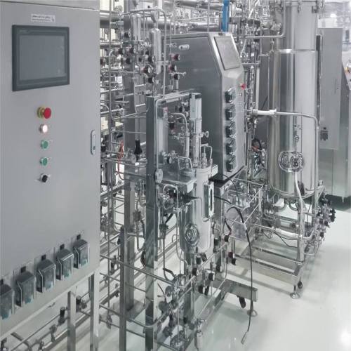 BLBIO Hot Sale Stainless Steel Bioreactor Design Hydrolysis Fermenter