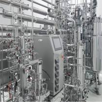 BLBIO Hot Sale Stainless Steel Bioreactor Design Hydrolysis Fermenter