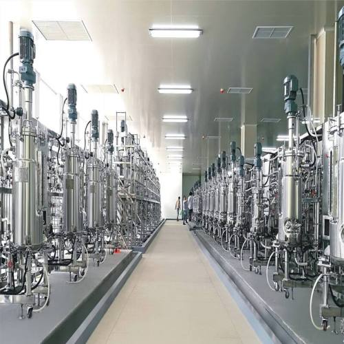 BLBIO Hot Sale Stainless Steel Bioreactor Design Hydrolysis Fermenter