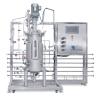 BLBIO 15-100L Stainless Steel Fermentor