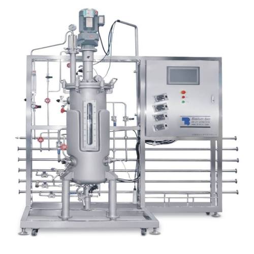 BLBIO 15-100L Stainless Steel Fermentor