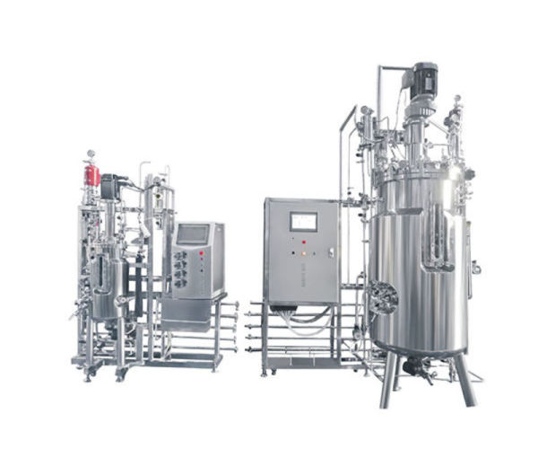 BLBIO 400L Fermenter Conical Fermenter Reactor