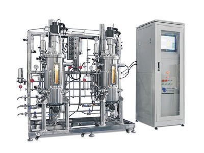 The three major star ingredients "cabbage price": sugar substitutes, bone health, ergotamine, synthetic biology has affected whose cheese?