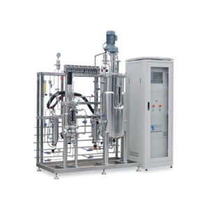 International Technology Cell Culture Bioreactor Mammalian fermentation basic principles