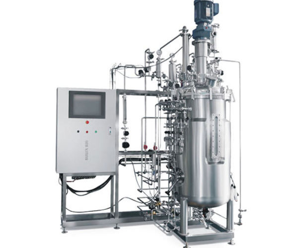 International Technology Cell Culture Bioreactor Mammalian fermentation basic principles