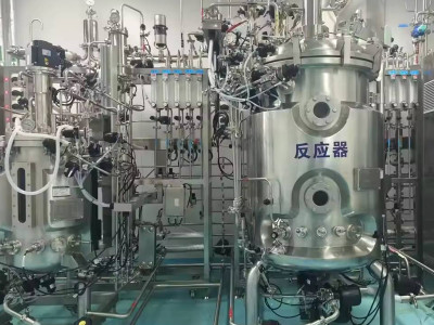 Driving Advancements in Industrial Fermentation and Plant Cell Cultivation