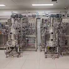 High density fermentation process