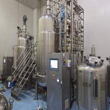 How can synthetic biology reshape the supply chain of healthy raw materials for ergot sulfur, a 