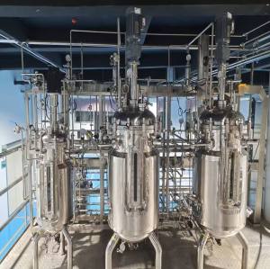 BLBIO Productos Novedosos Bioreactor Control System Stainless Steel Fermenter