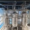 BLBIO Productos Novedosos Bioreactor Control System Stainless Steel Fermenter