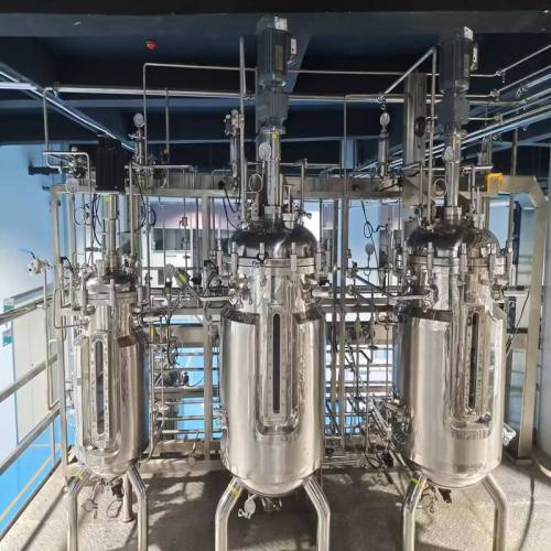 BLBIO Productos Novedosos Bioreactor Control System Stainless Steel Fermenter