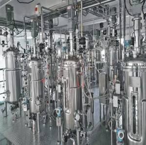 BLBIO Laboratory Stainless Steel Bio Fermenter