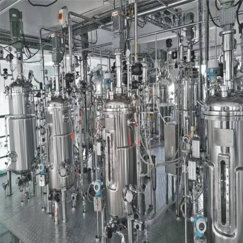 BLBIO Laboratory Stainless Steel Bio Fermenter