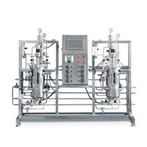 Automatic Bioreactor Fermenter Design standard bioreactor machine machine chemic equip