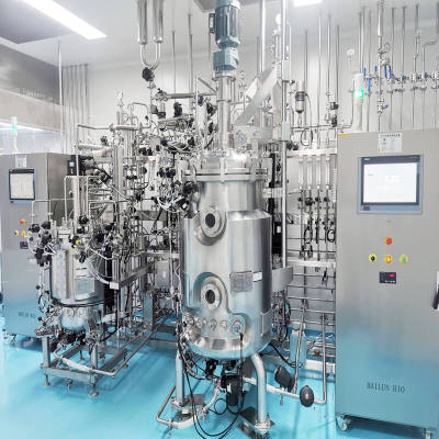 Lab Fermentation Bioreactor For Bacteria Monoclonal Disposable Manufacturer Fermentor