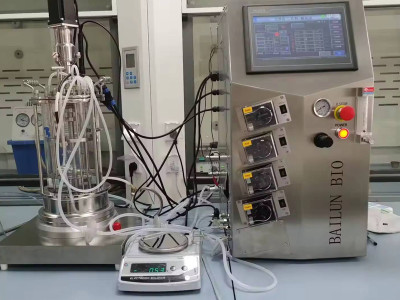 Revolutionizing Industrial and Plant Cell Cultivation Processes