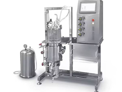 Advancements in Bioreactors for Plant Cell Cultivation and Industrial Fermentation