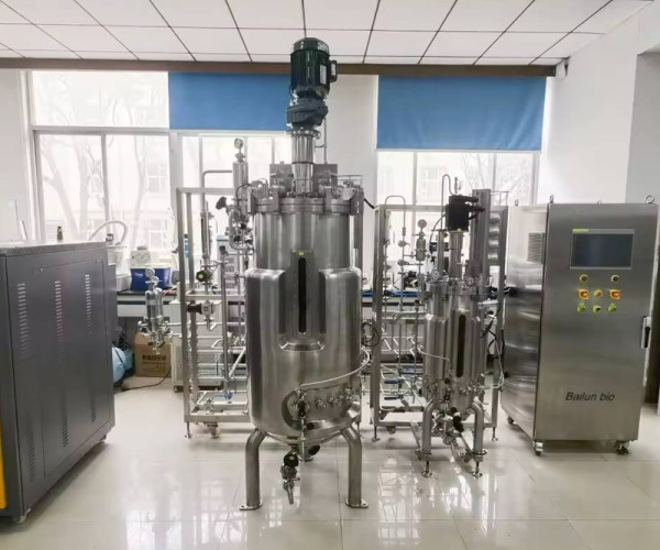 200l Bioreactor Stainless steel batch fermenter mechanical fermentation price stirring