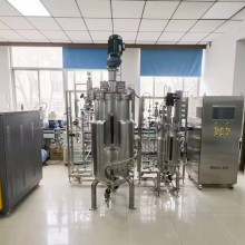 Biorreactor de 200 l Fermentador por lotes de acero inoxidable Precio de fermentación mecánica con agitación