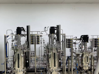 Planta de metanol a pequeña escala para laboratorio: revelando el potencial de la fermentación a presión con múltiples biorreactores