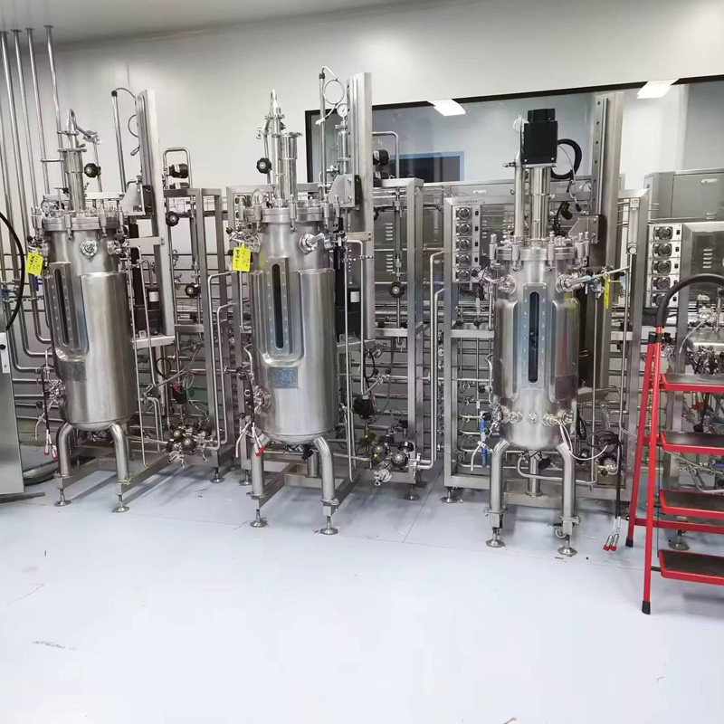 4000l 5000l 6000l Fermentor Bioreactor